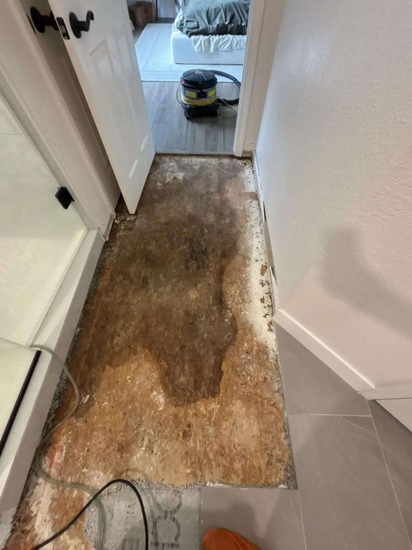 Hallway with the flooring removed and a dark moisture stain on the subfloor